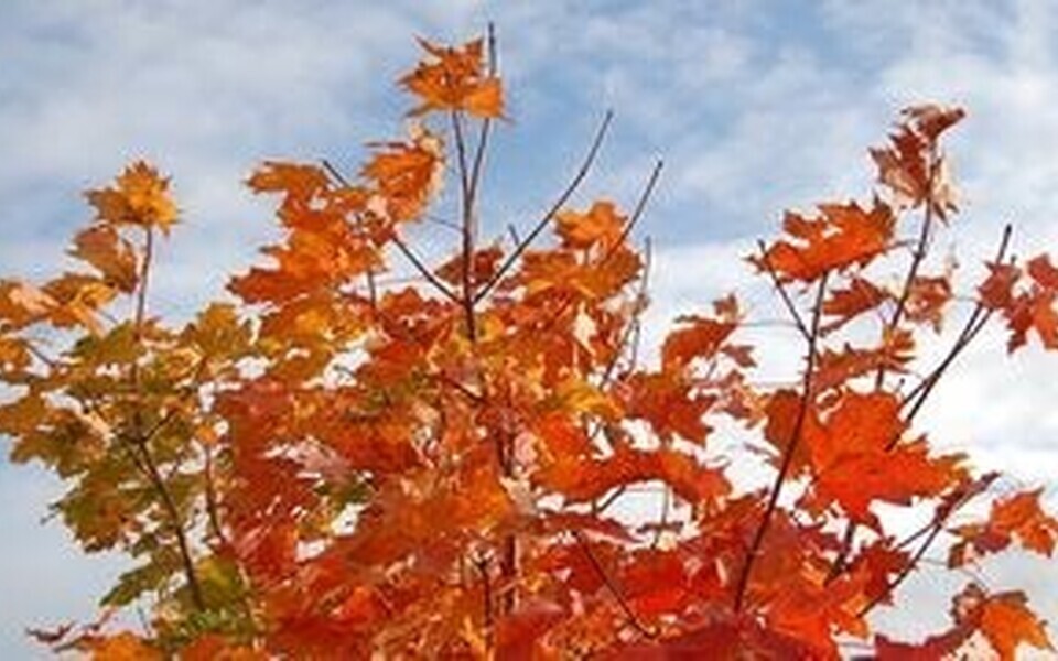 Днем облачно с прояснениями.