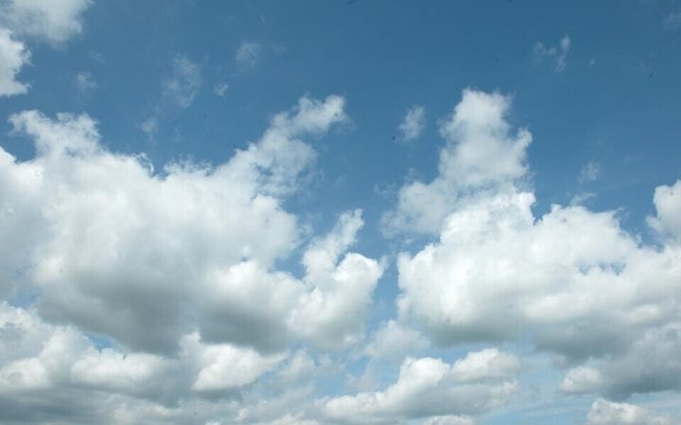 Иллюстративная фотография.