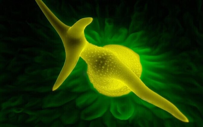 Mis ikkagi juhatab sisse 21. sajandi filosoofiasse?