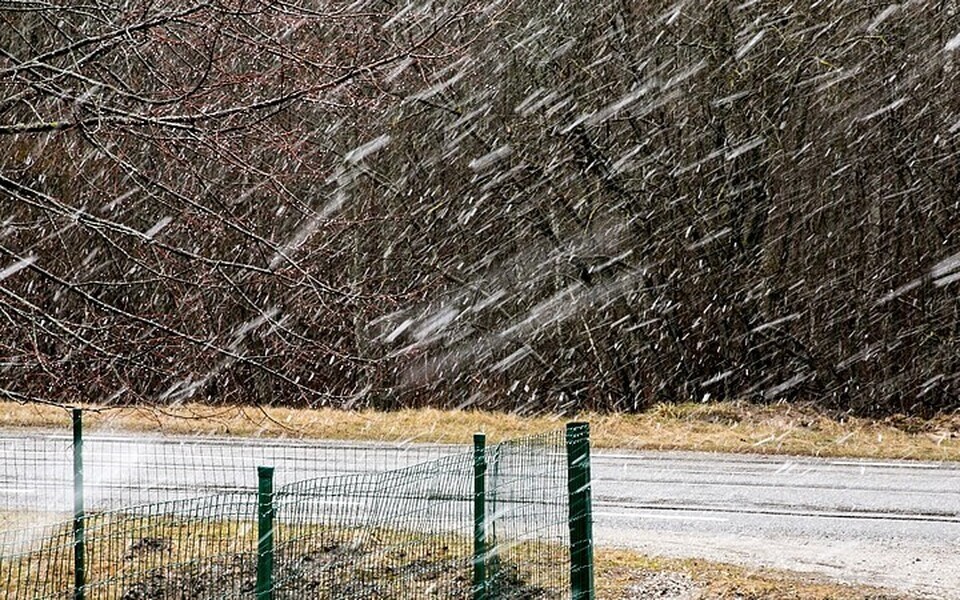 Днем облачно, дождь и мокрый снег.