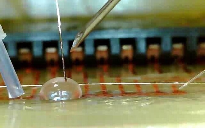 Tilga tekitamine katseseadme kapillaaris.