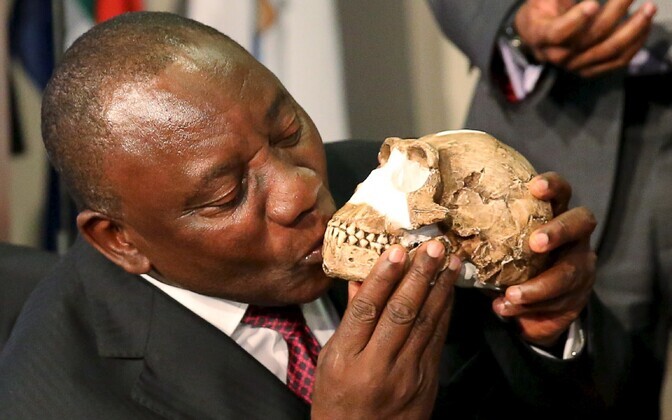 LAV-i asepresident Cyril Ramaphosa suudleb Homo naledi kolba rekonstruktsiooni.
