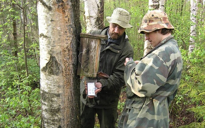 Raivo Mänd ja Marko Mägi väliuuringuil.