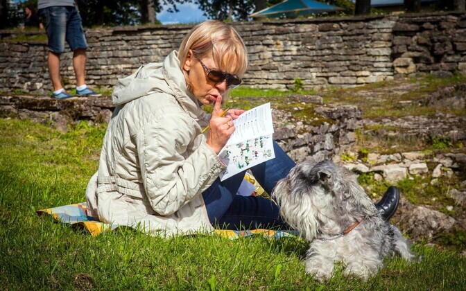 Фестиваль мнений в Пайде