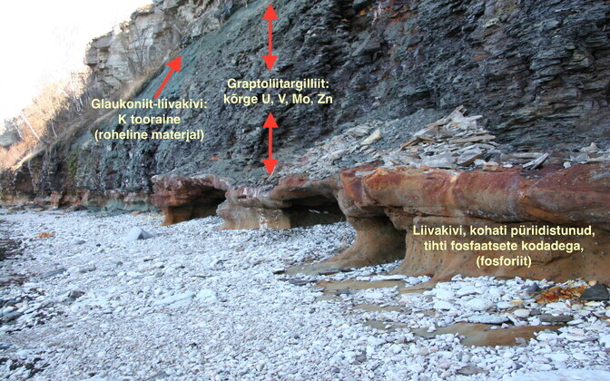 Paldiski panga läbilõige. Läbilõike alumise osa moodustab enamasti Kambriumi vanusega liivakivi, mis tihti püriidistunud. Sarnases liivakivis on paljudes kohtades palju fosfaatset karbimaterjali, mis moodustabki Eesti fosforiidi. Liivakivil lasub tume mud