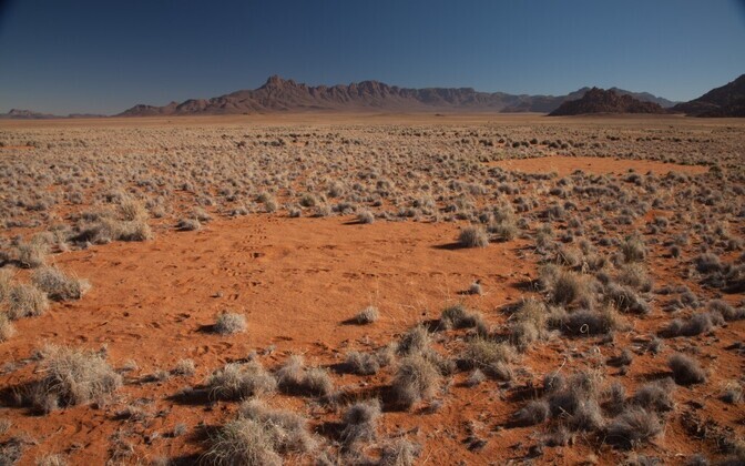 Nõiaringid Namiibia kõrbes.