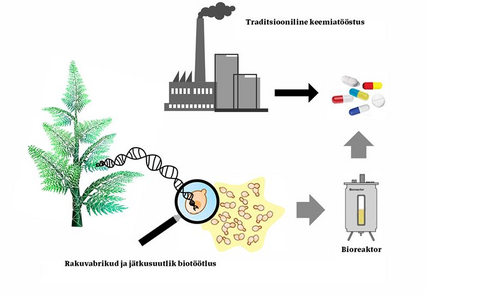 Professor Mart Loogi visiooni kohaselt tuleks Eestisse luua sünteetilise bioloogia keskus, mille üheks osaks on bioreaktoriga katsetehas, et biotöötlus ja biotehnoloogia asendaksid põlevkivikeemia rohelise keemiaga.
