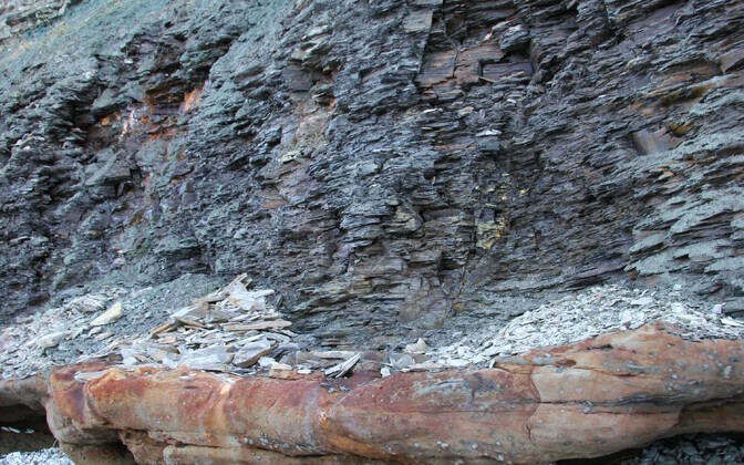 (Joonis 2) Pakri poolsaarel paljandub graptoliitargilliit enam kui nelja meetri paksuse kihina Kambriumi vanusega liivakivide peal.