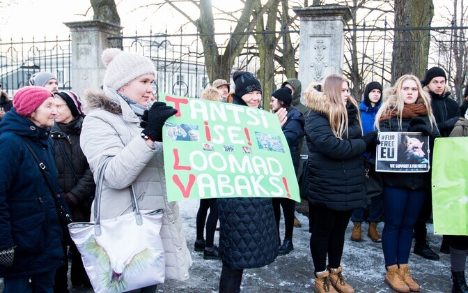 Акция протеста против пушных ферм.