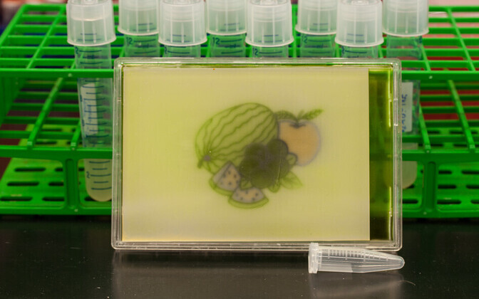 Näited uudse süsteemi poolt pakutavatest võimalustest