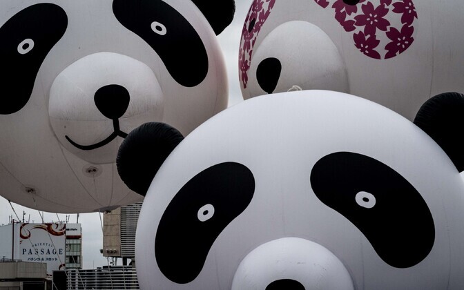Tokyos tähistatakse panda sündi