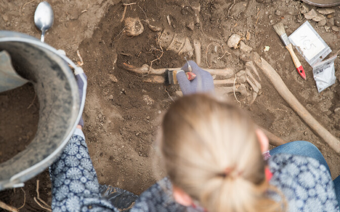Väljakaevamised Tõnismäel