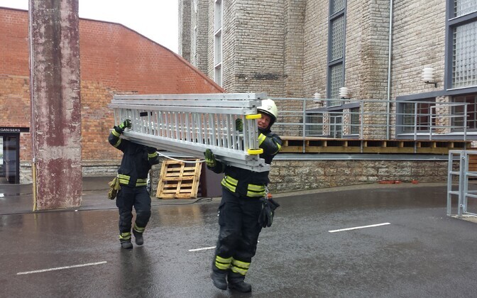 Päästjad viisid kajakapoja tagasi pessa