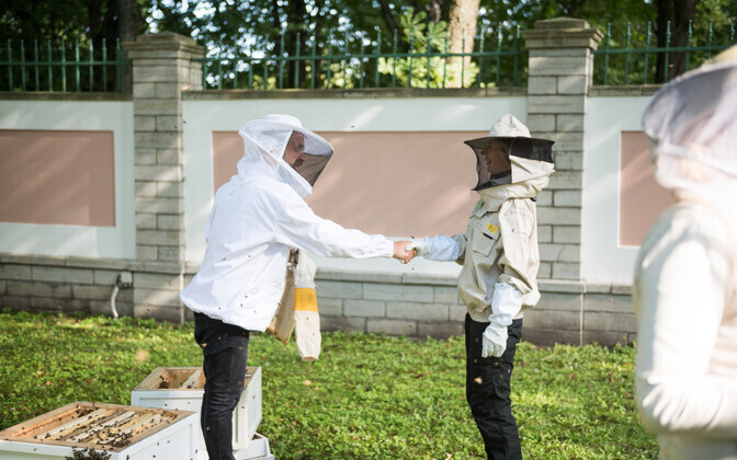 Kadrioru mesitarudest võetakse mett