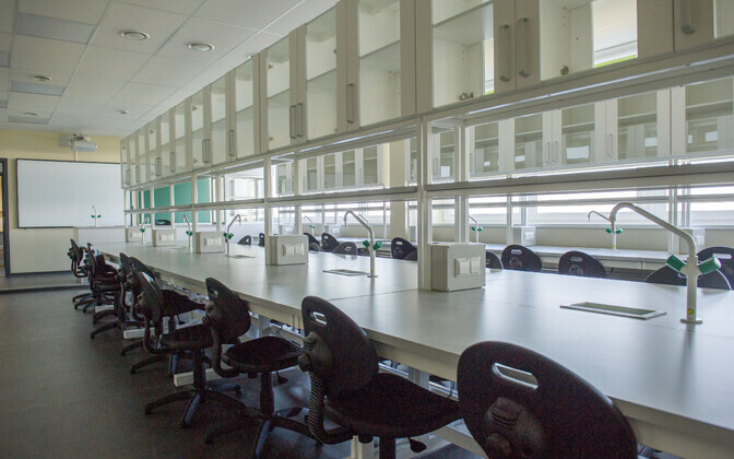 Новое здание Таллиннского Линнамяэского русского лицея.