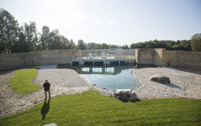 Erinevus jääkarude uue ja vana kodu vahel on pehmelt öeldes kontrastne.