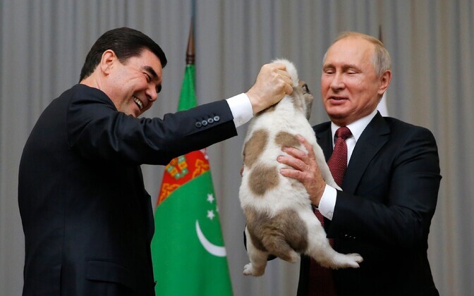 Gurbangulõ Berdõmuhammedov kinkis Vladimir Putinile kutsika.
