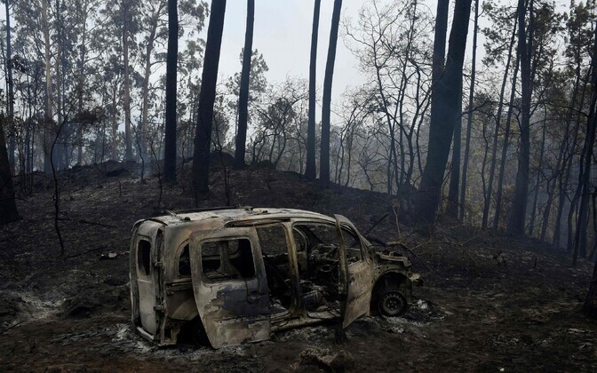 Maastikupõlengud Portugalis 2017. aasta oktoobris.