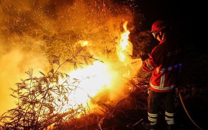 Пожар в Португалии.