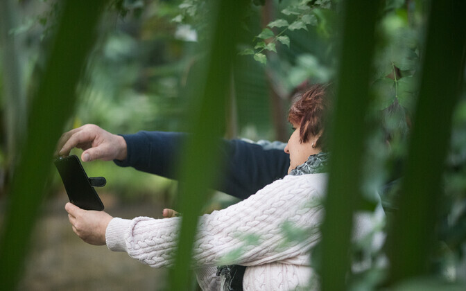 Tallinna Botaanikaaed