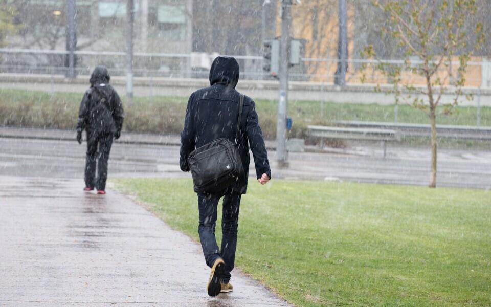 Во многих местах дождь и мокрый снег.