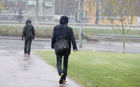 Во многих местах дождь и мокрый снег.