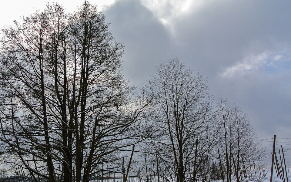 Иллюстративная фотография.