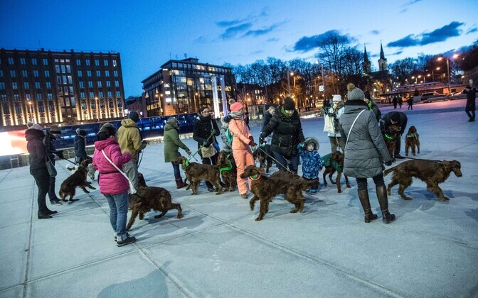 Püha Patricku päev Vabaduse väljakul