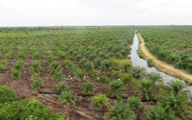 Uurimisalad ja nende keskmine mõõdetud naerugaasiheide maailma soomuldade kaardil.