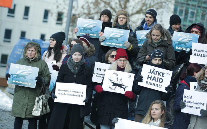 Пикет против планов открыть в Эстонии океанариум.