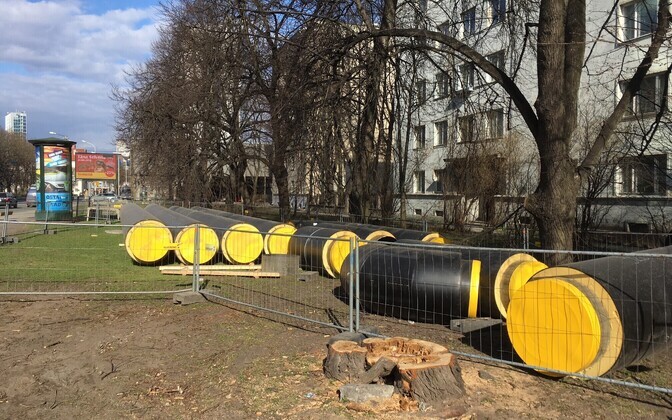 Gonsiori tänava rekonstueerimistööde käigus maha võetud puud.