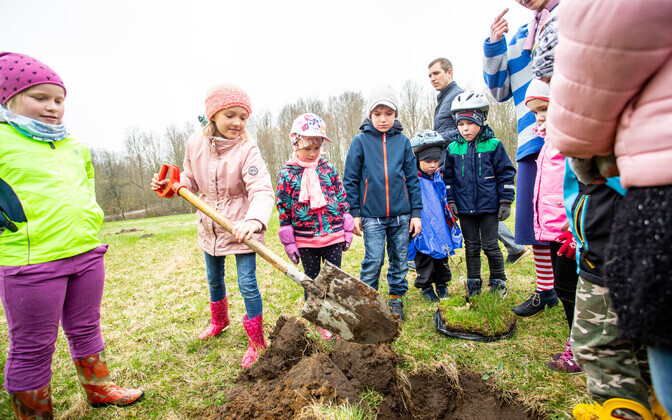 Sindi avas tammeparkide istutamishooaja.