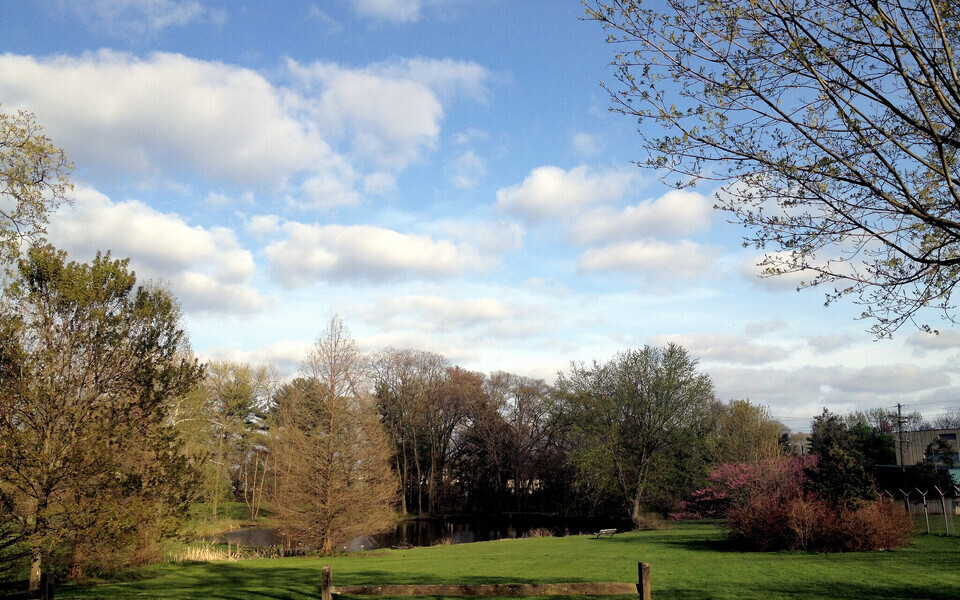 Иллюстративная фотография.