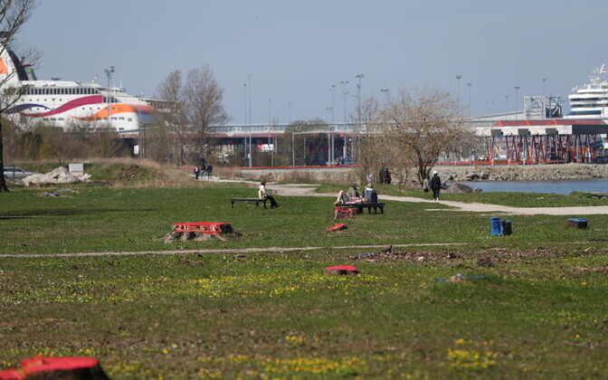 Строительство Рейди теэ может начаться уже в июле.