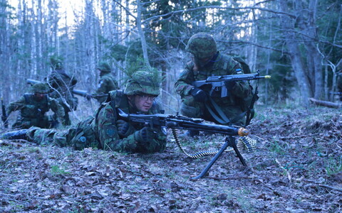 Members of Estonia's volunteer Defence League during an exercise. Image is illustrative