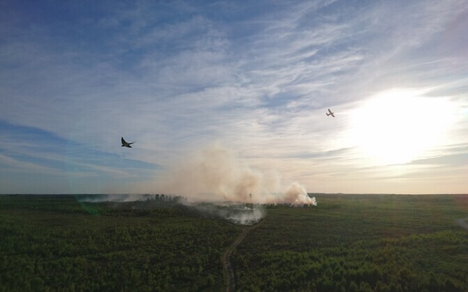 Пожар на полигоне Пала начался 25 мая.