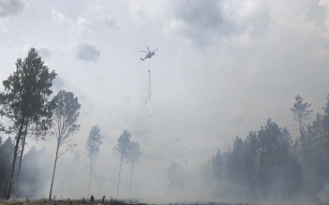 Иллюстративная фотография.