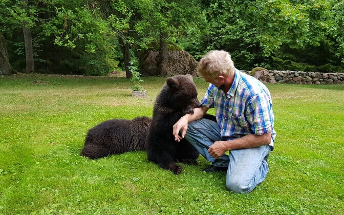 Bear cubs which appeared in a Saaremaa backyard on Friday.