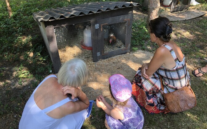 Avatud talude päev Risti linnupargis.