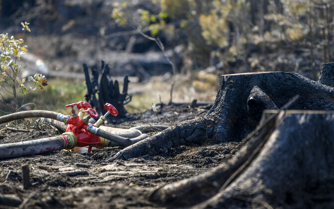 Спасатели в Нарва-Йыэсуу тушат лесной пожар.