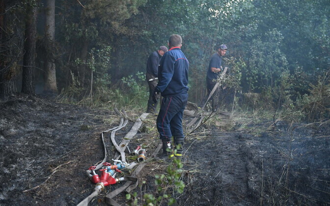 Пожар в лесу в Нарва-Йыэсуу.