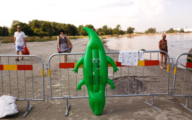 Строительство улицы Рейди.