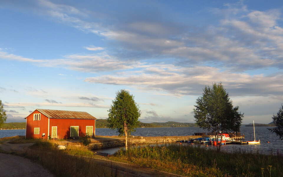 Иллюстративная фотография.