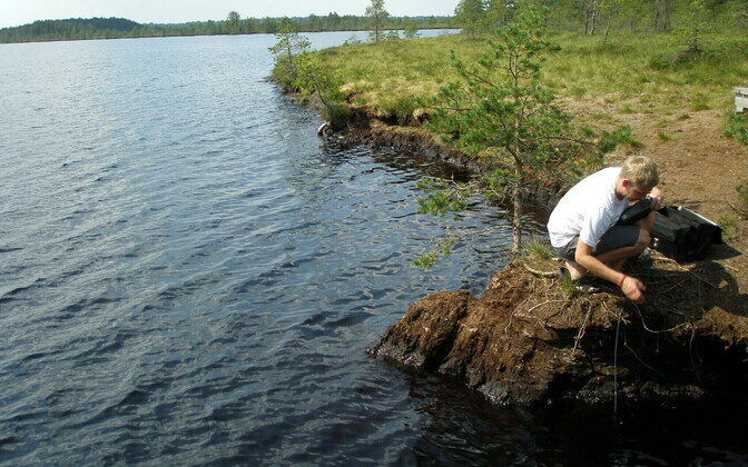 Kuuma ilma tagajärjel surnud kalu sel korral Saaremaa ja Hiiumaa lahesoppidest ei leitud.
