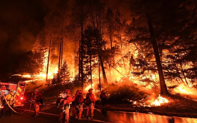 Калифорния охвачена лесными пожарами.