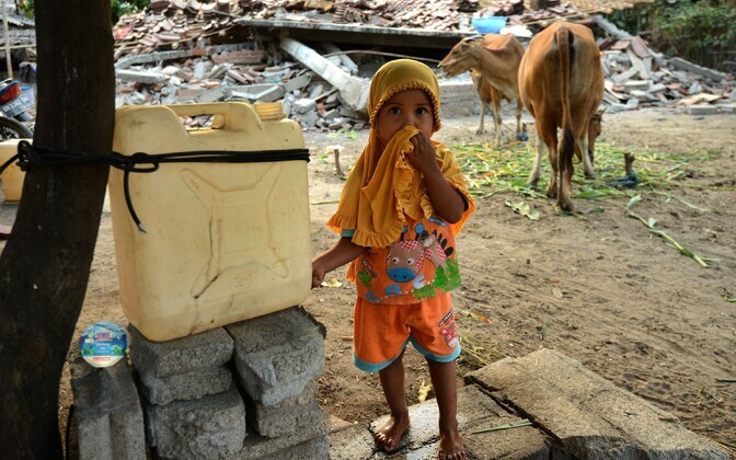 Maavärin Indoneesias Lomboki saarel on saanud üle 350 järeltõuke.