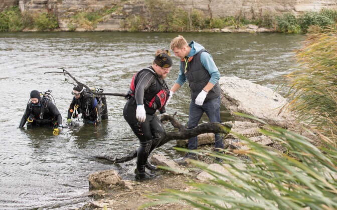 Maailmakoristuspäev