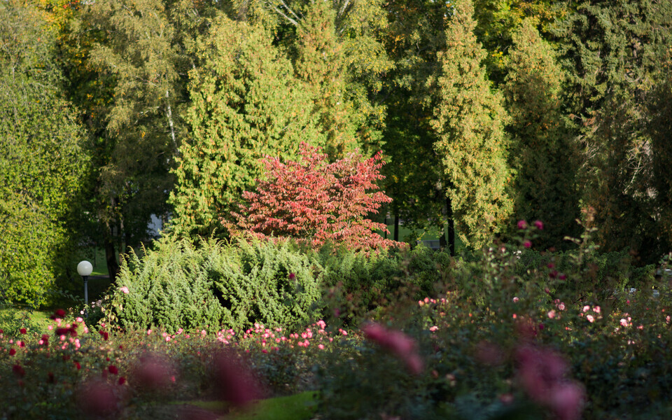 Осень в Кадриорге.