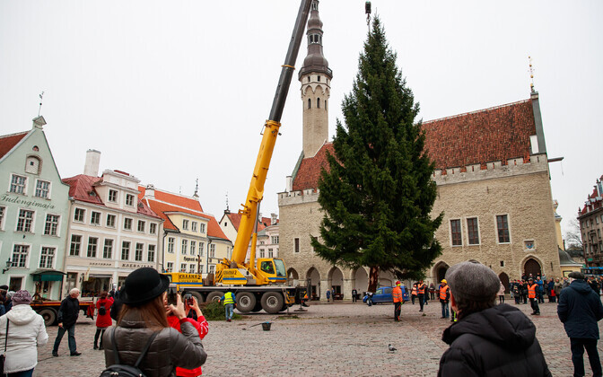 Jõulupuu tee Raekoja platsile