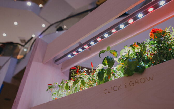 Экспозиция в Solaris в рамках Techstars Startup Week Tallinn 2018